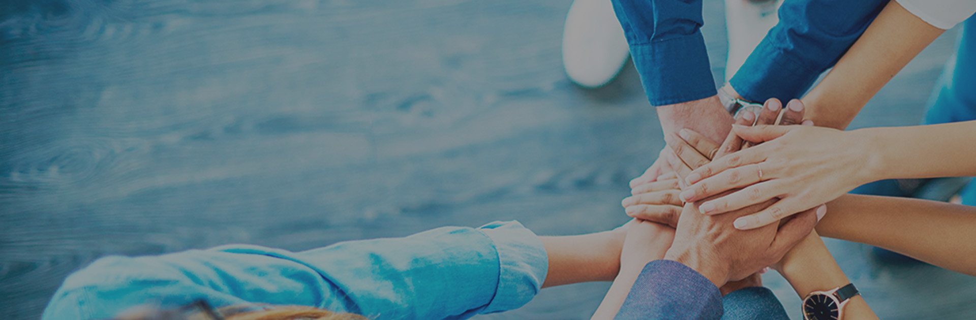 老子有钱lzyq88优势